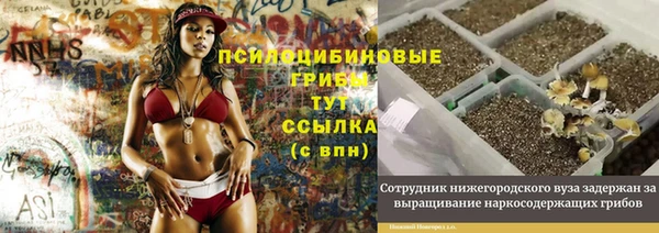 спиды Балабаново