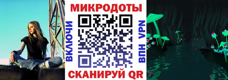 хочу наркоту Болгар Галлюциногенные грибы Psilocybine cubensis